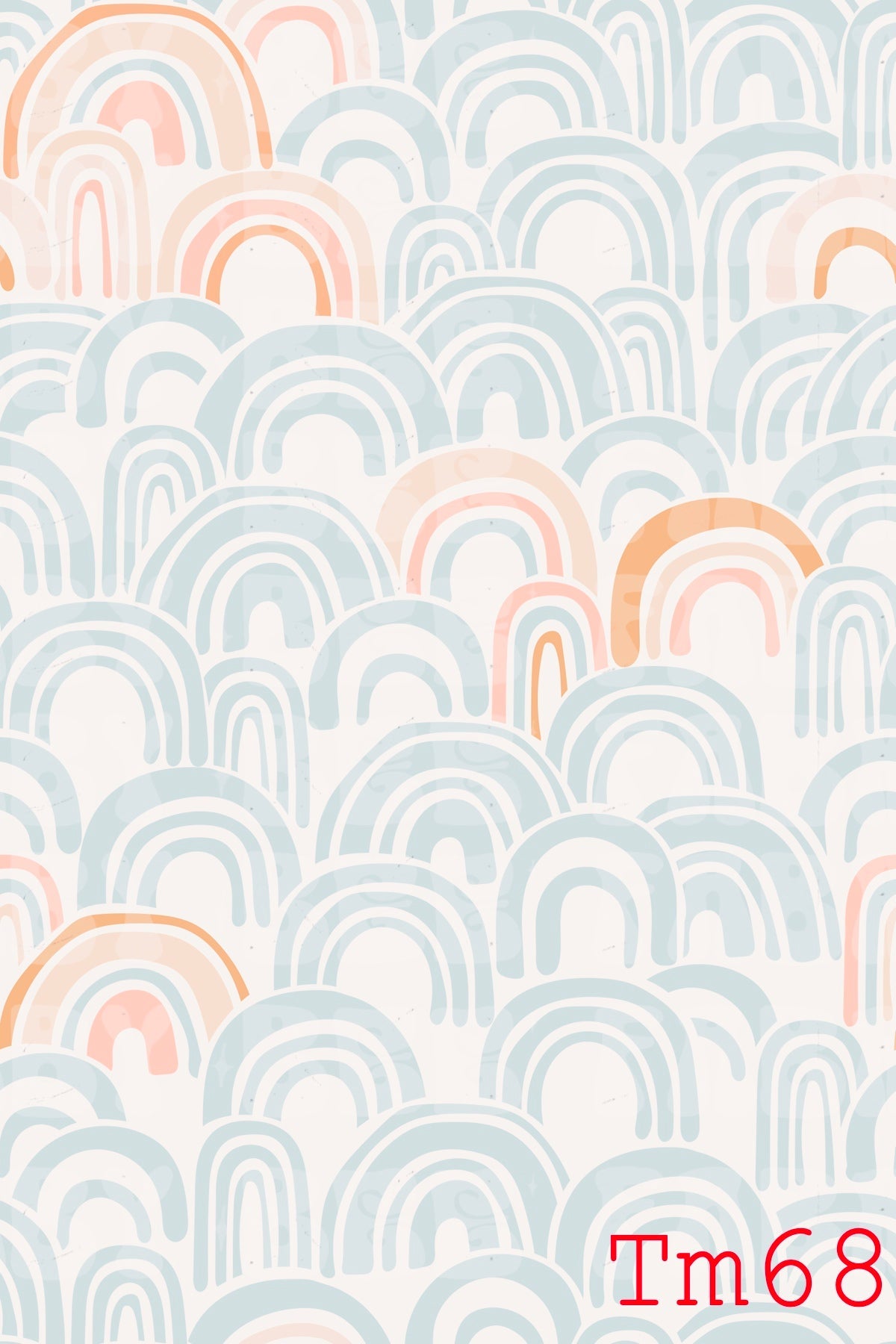 TM68