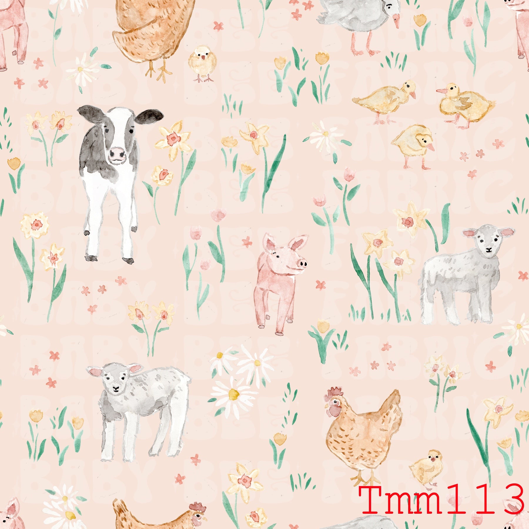 TMM113