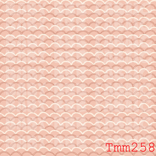 TMM258
