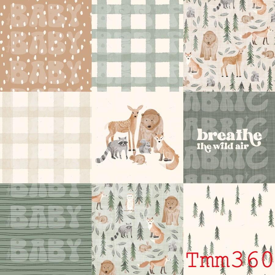 TMM360