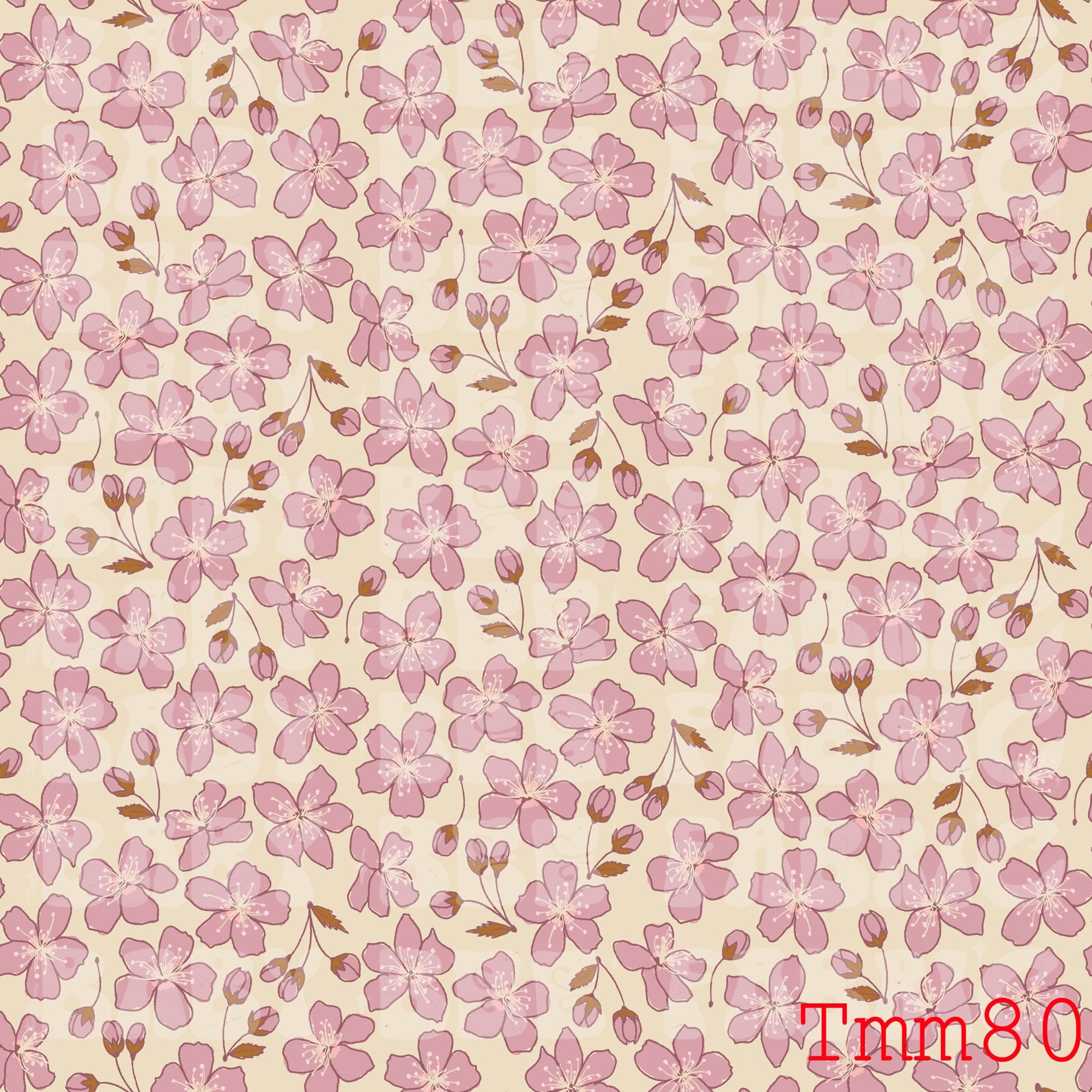 TMM80