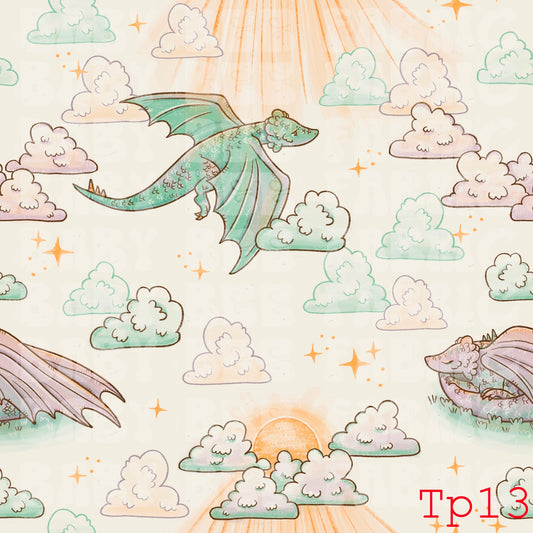 TP13