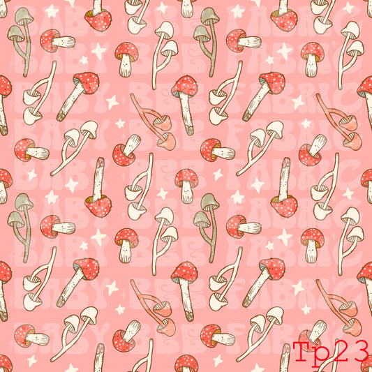 TP23