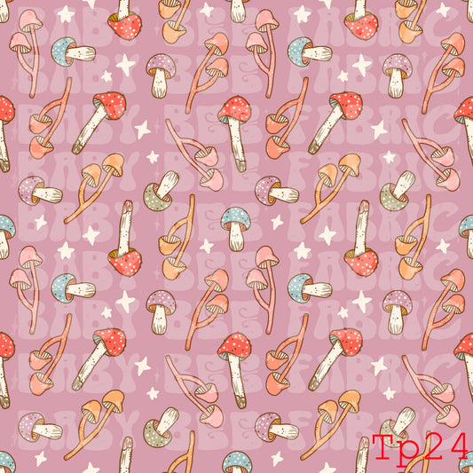 TP24