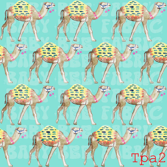 TPA2