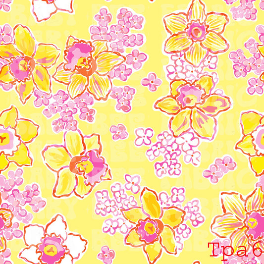TPA6