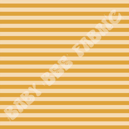 Lions With Suns Stripes