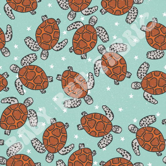Sea Turtles