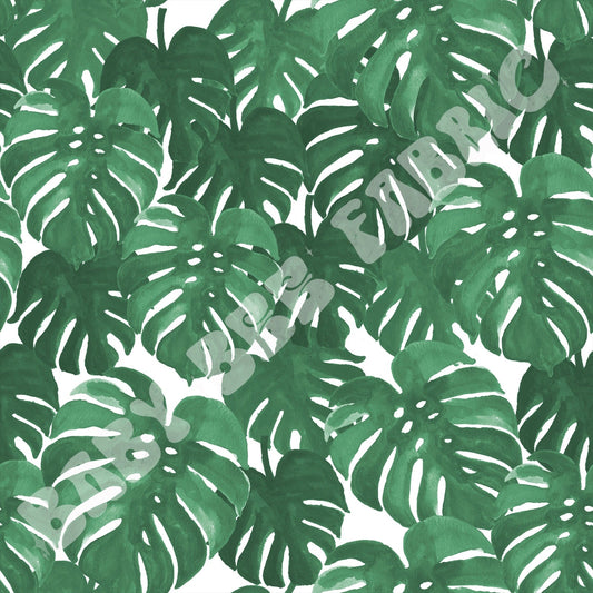 Green Monstera