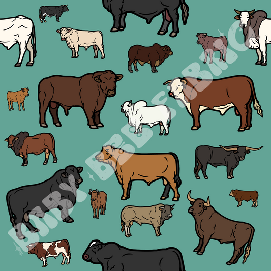 Teal Cattle