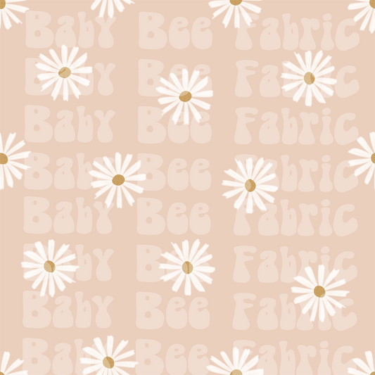 Fall Daisies