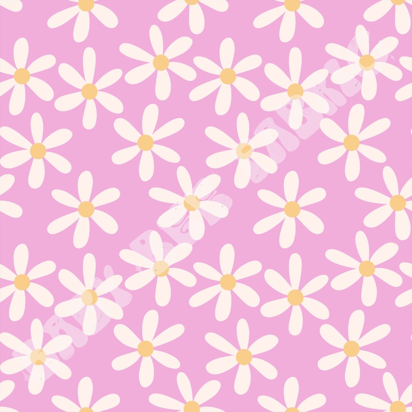 Daisy On Pink