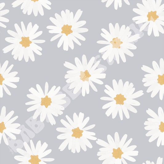 Lavender Daisy