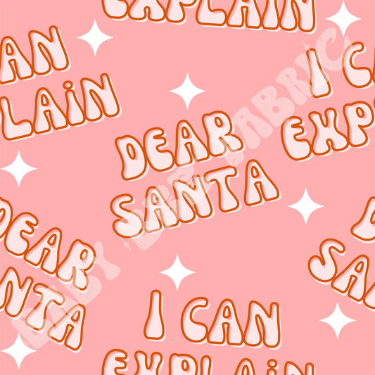 Dear Santa I Can Explain