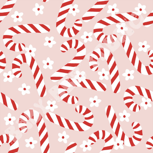 Candy Cane Daisy