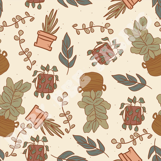 Potted Plants