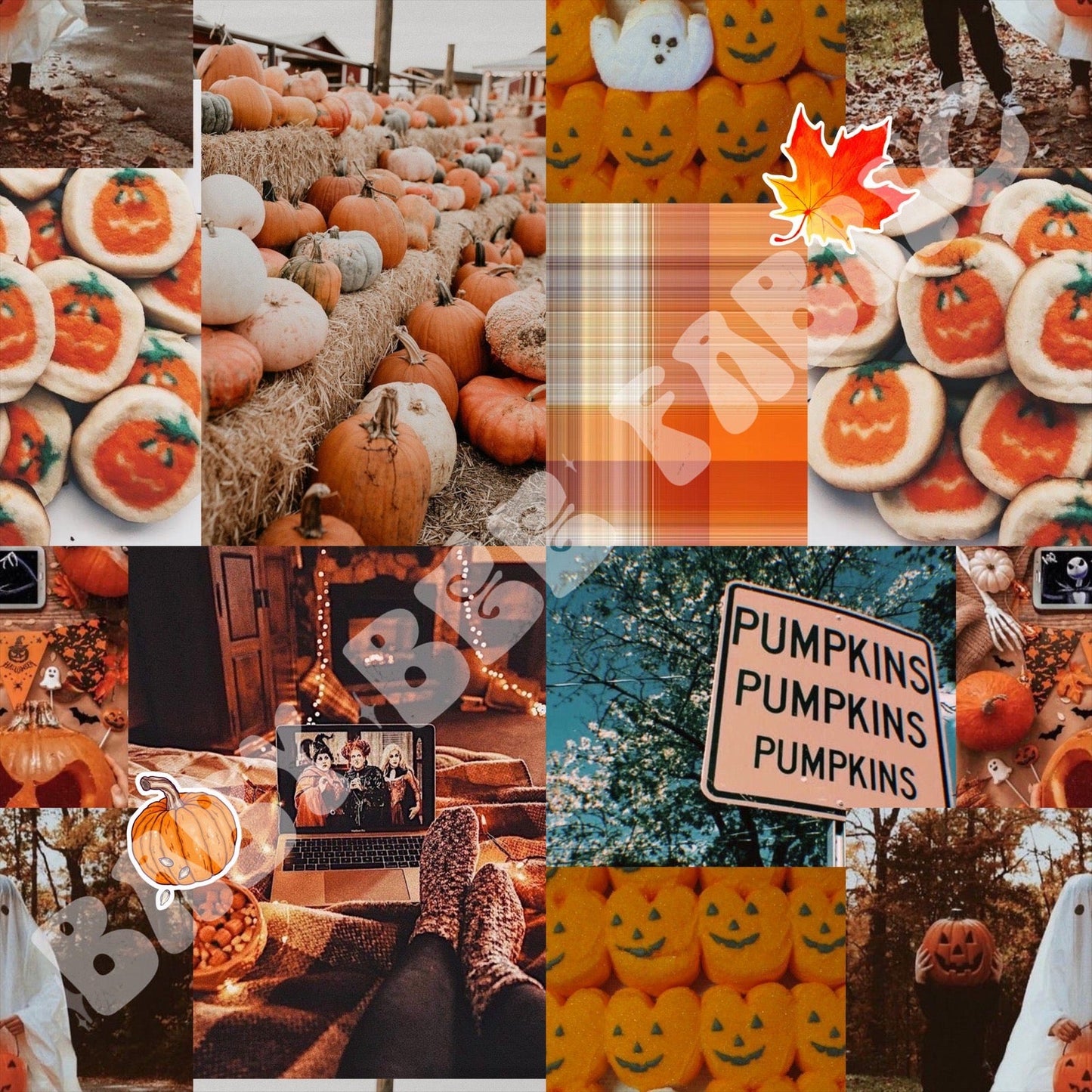 Fall Collage