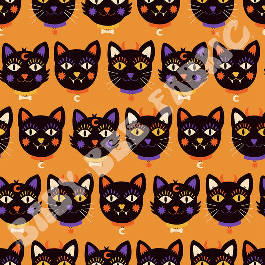 Halloween Cats