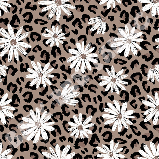 Leopard Daisy