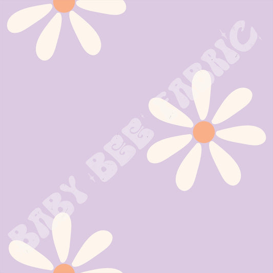 Purple and white daisy