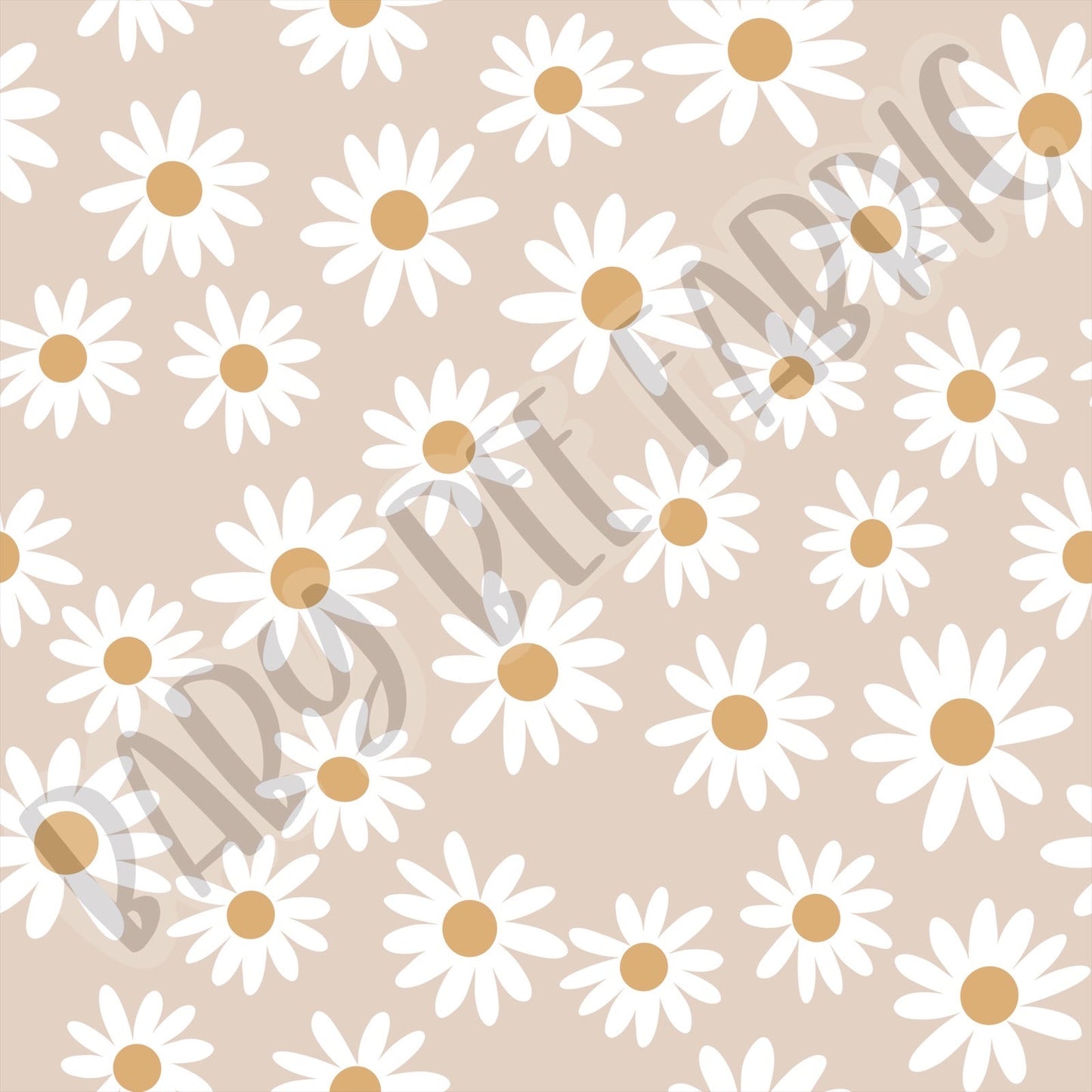 Daisy Pre Order