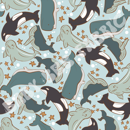 Muted Whales