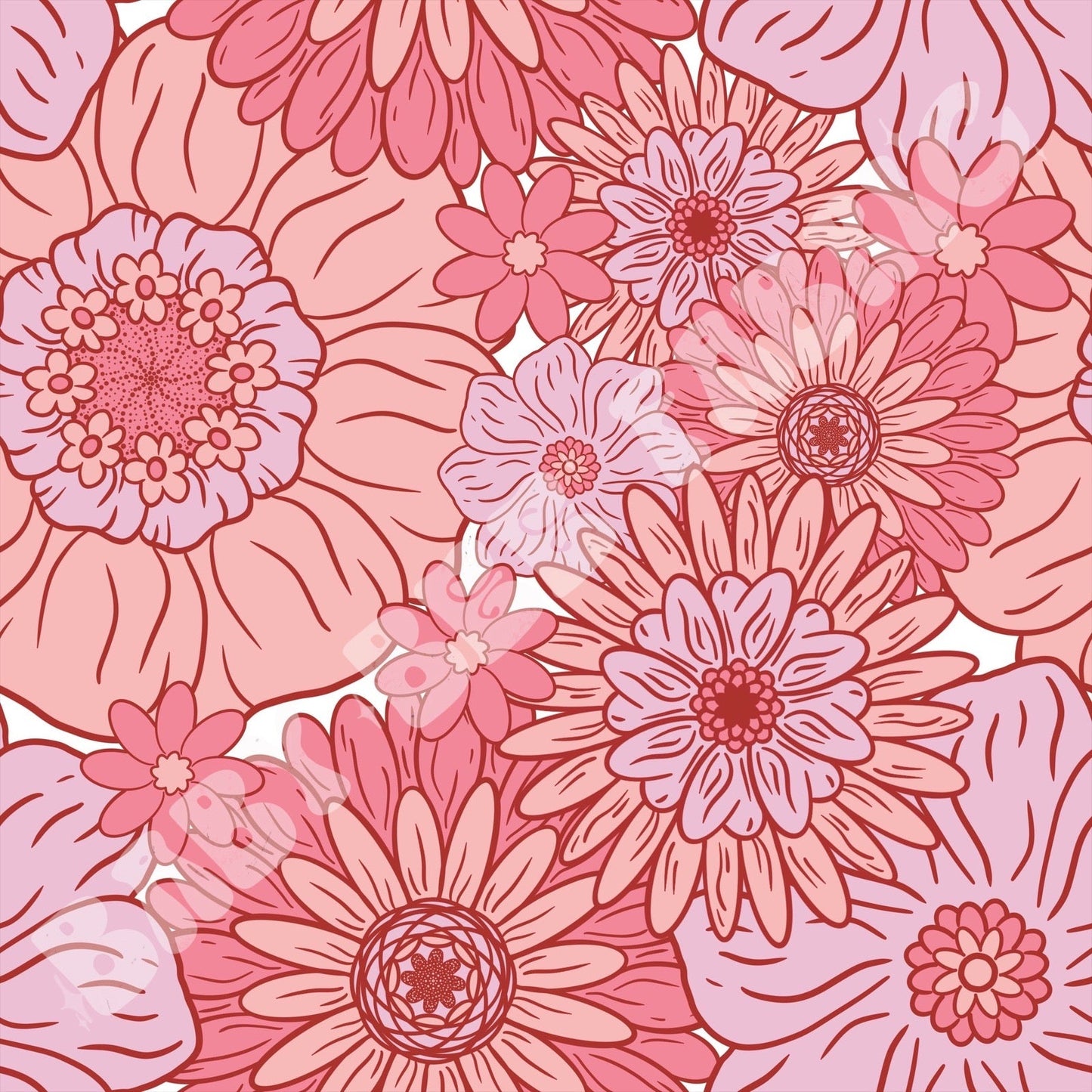 Pink Blooms
