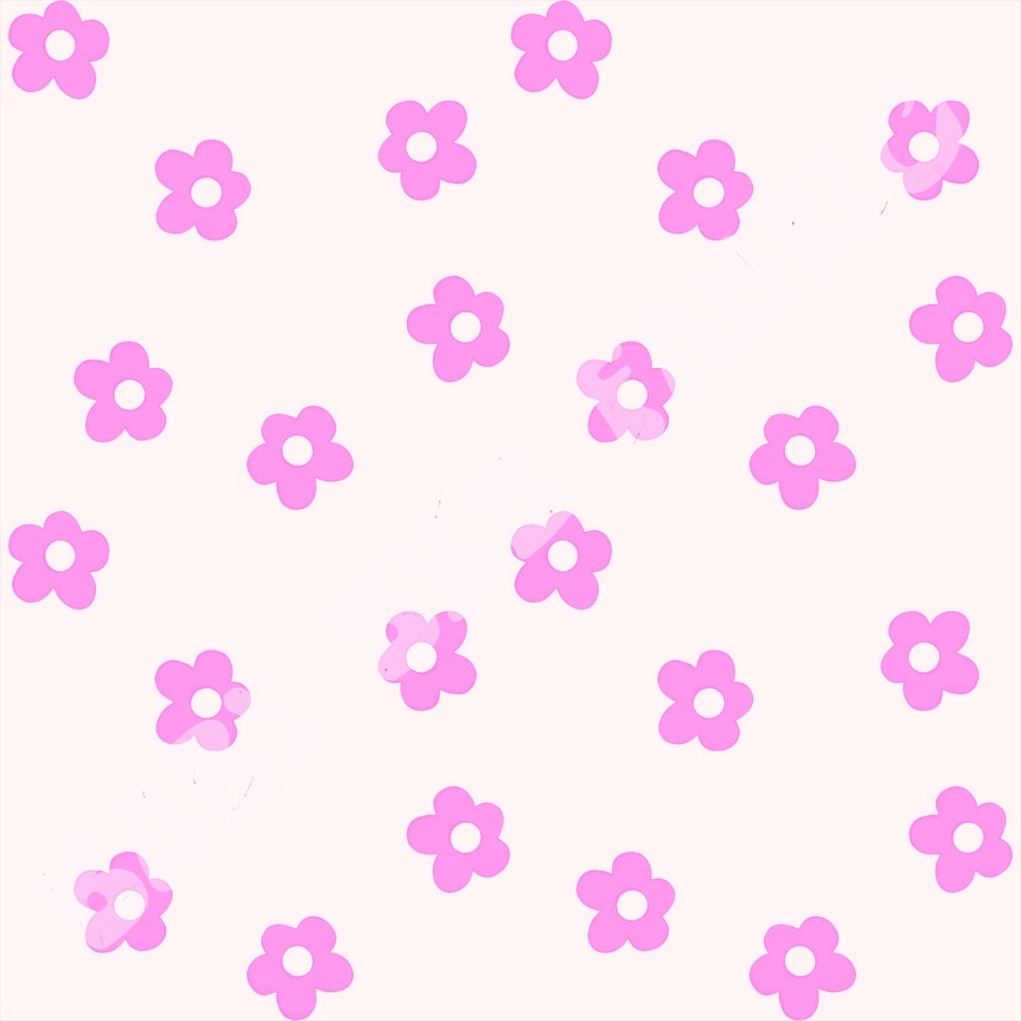 Pink Daisies