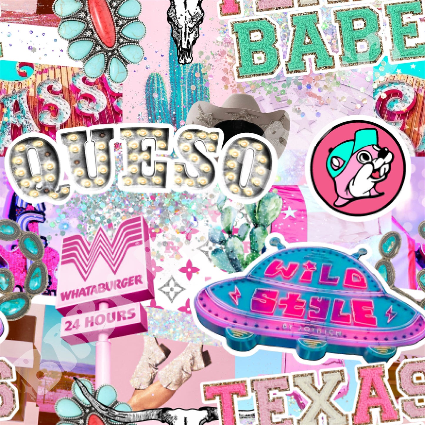 Pink Texas Collage
